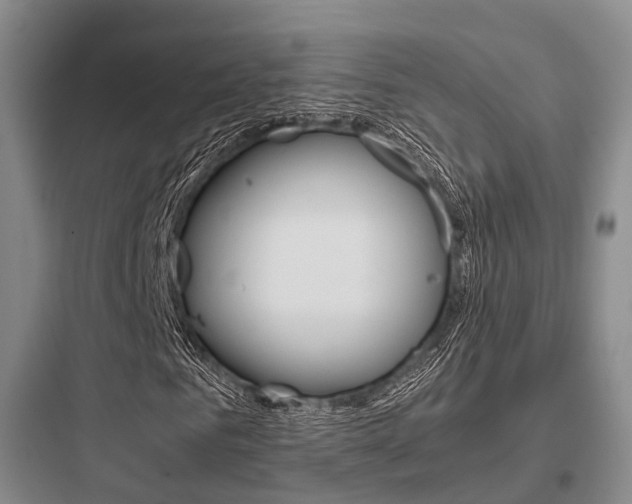 X0000097960961200803241038