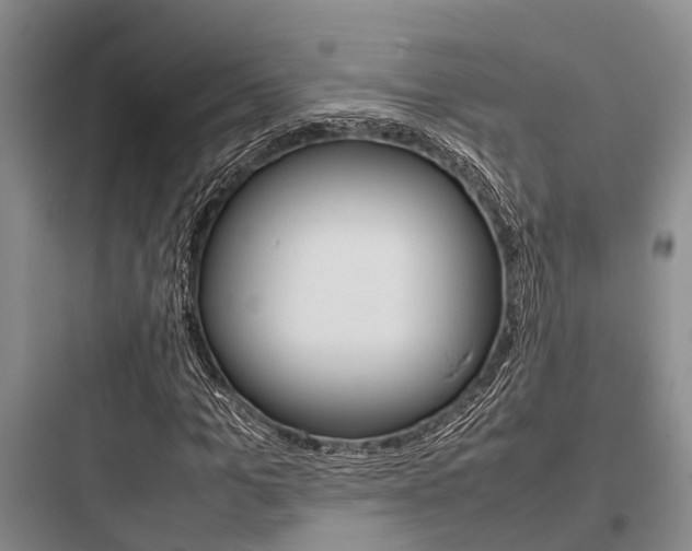X0000097960965200803241038