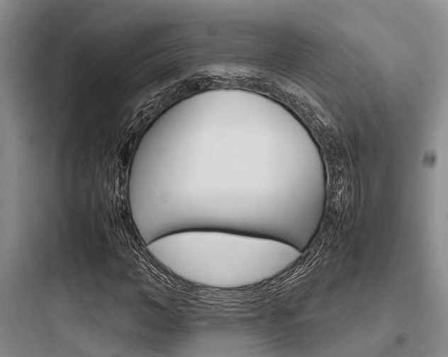 X0000097960966200803241038