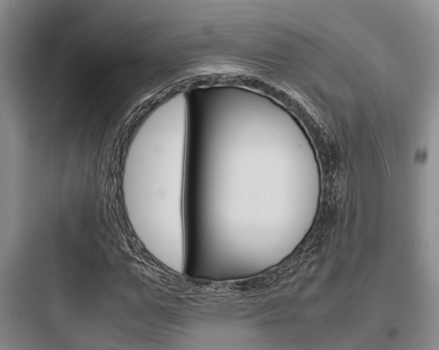 X0000097960967200803241038