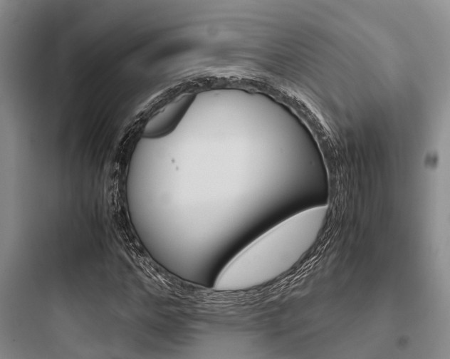 X0000097960968200803241038