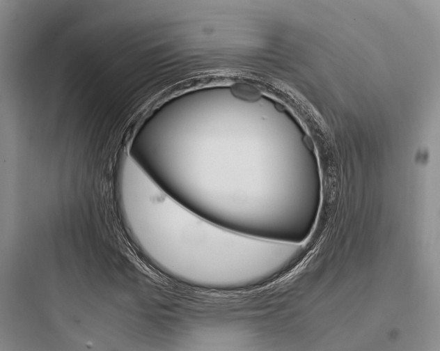 X0000097960969200803241038