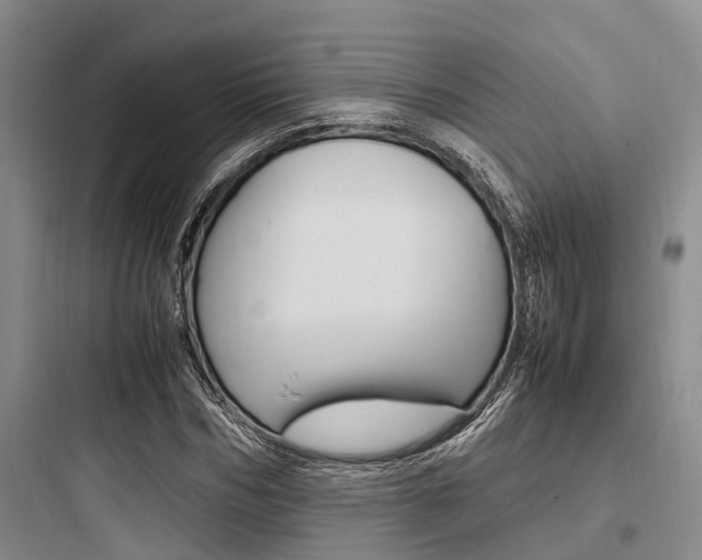 X0000097960970200803241038
