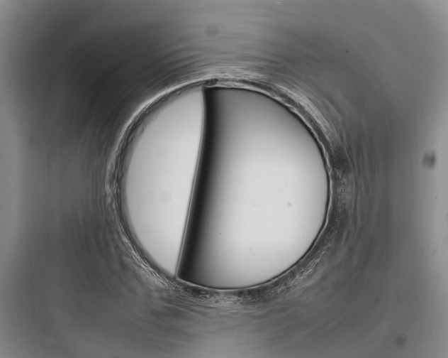 X0000097960971200803241038