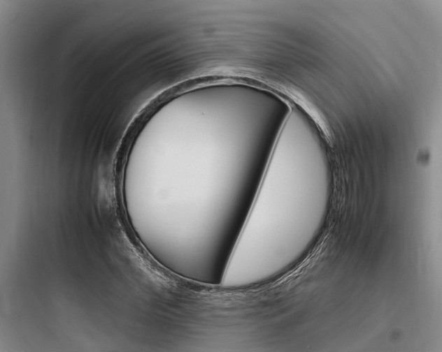 X0000097960972200803241038