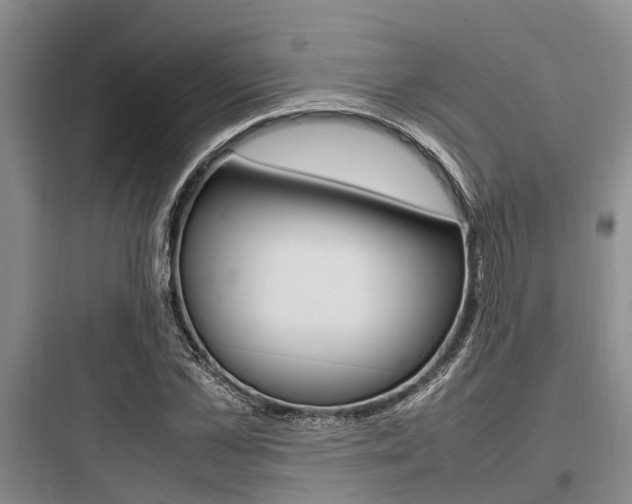 X0000097960973200803241038