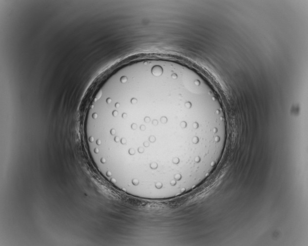 X0000097960974200803241038