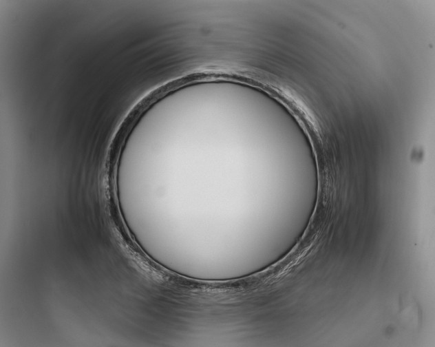 X0000097960976200803241038