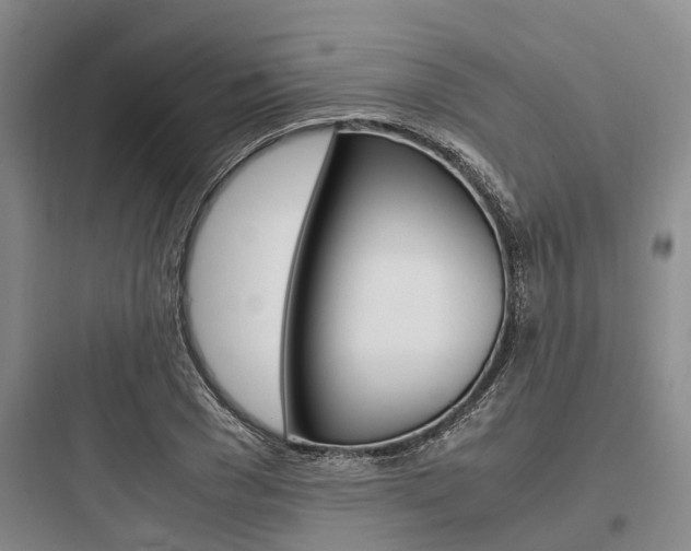 X0000097960977200803241038