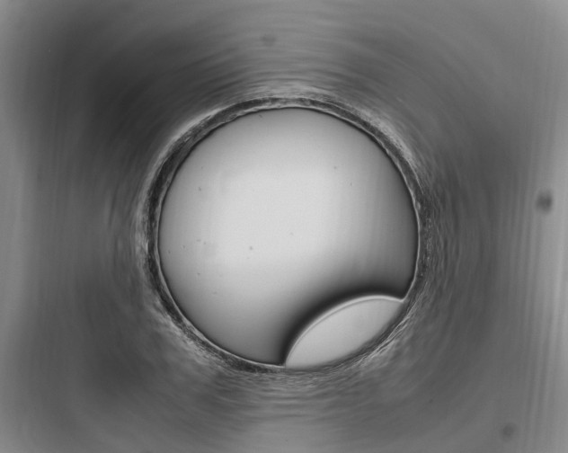 X0000097960979200803241038