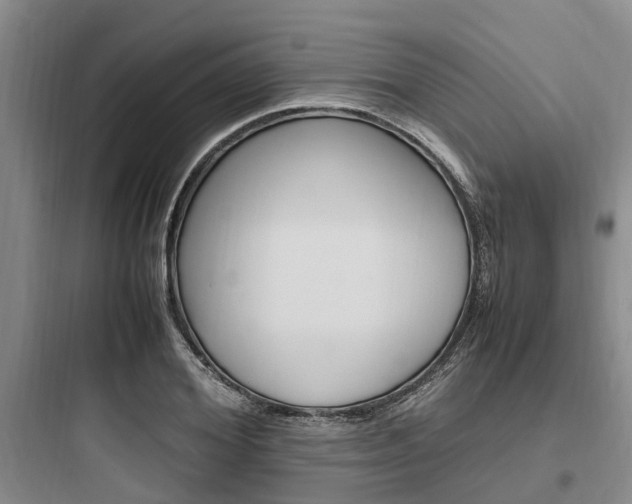 X0000097960980200803241038