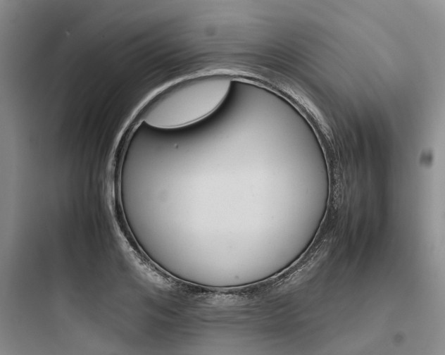 X0000097960984200803241038
