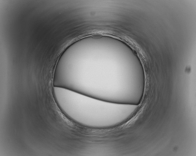 X0000097960985200803241038