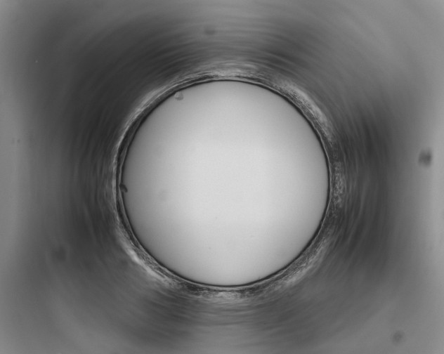 X0000097960986200803241038