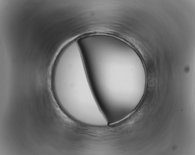 X0000097960987200803241038
