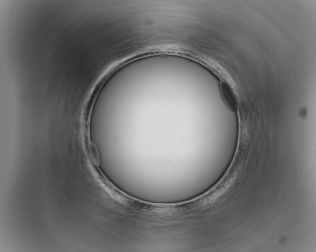 X0000097960989200803241038