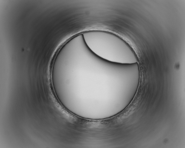 X0000097960990200803241038