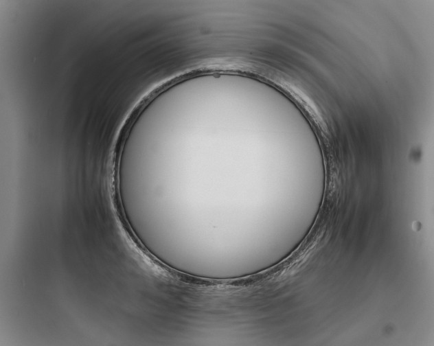 X0000097960992200803241038