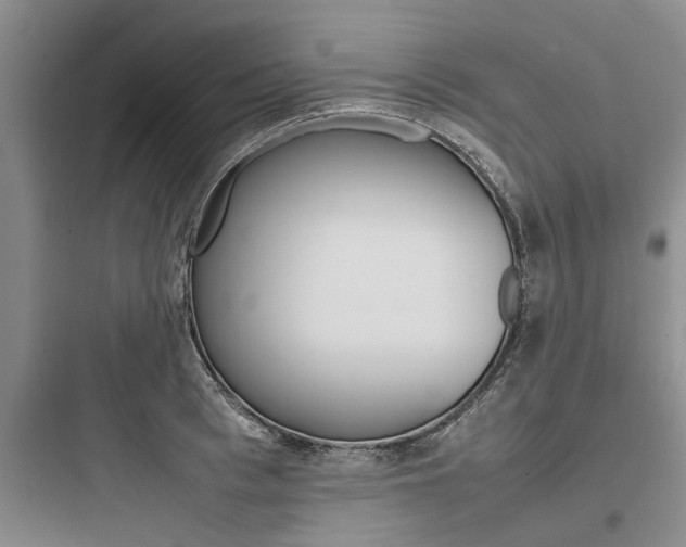 X0000097960993200803241038
