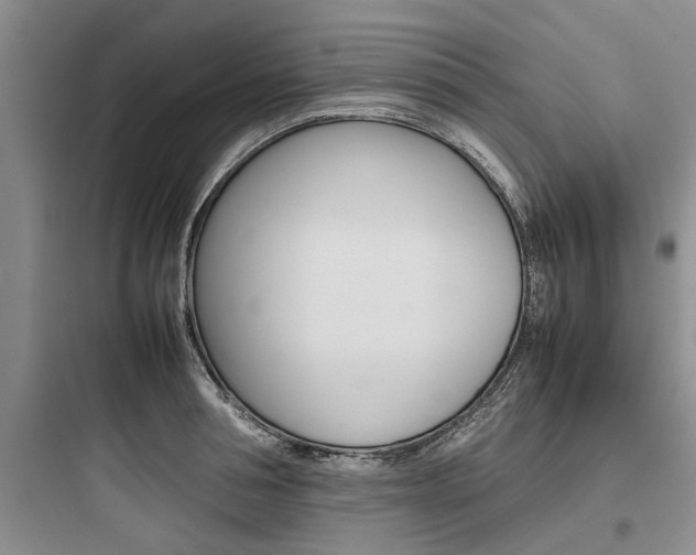 X0000097960994200803241037