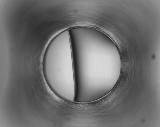 X0000097960995200803241037