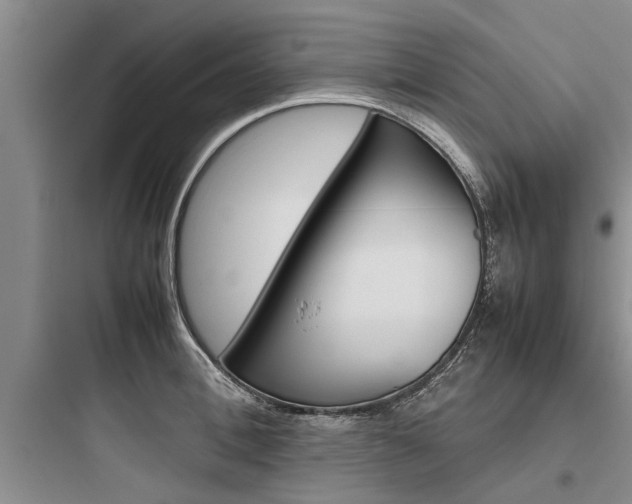 X0000097960996200803241037