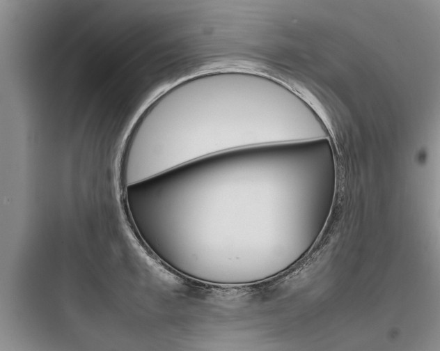 X0000097960997200803241037