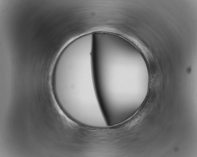 X0000097960999200803241037