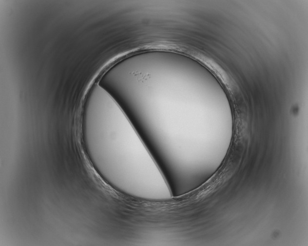 X0000097961000200803241037