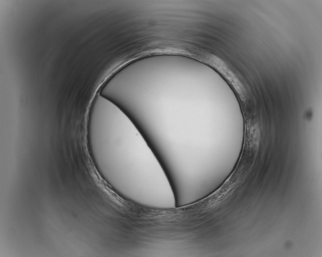 X0000097961002200803241037