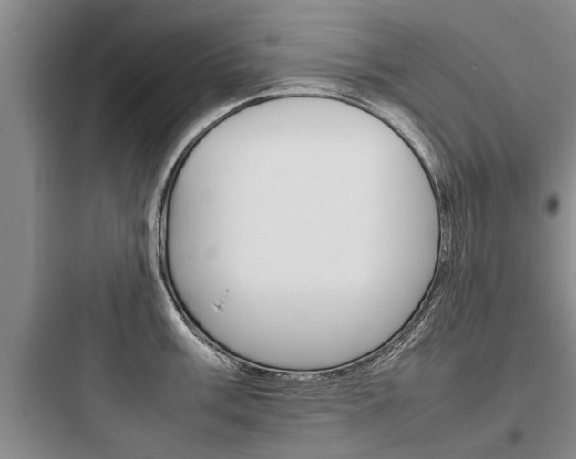X0000097961003200803241037