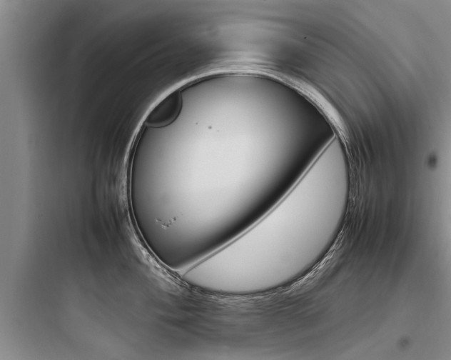 X0000097961004200803241037