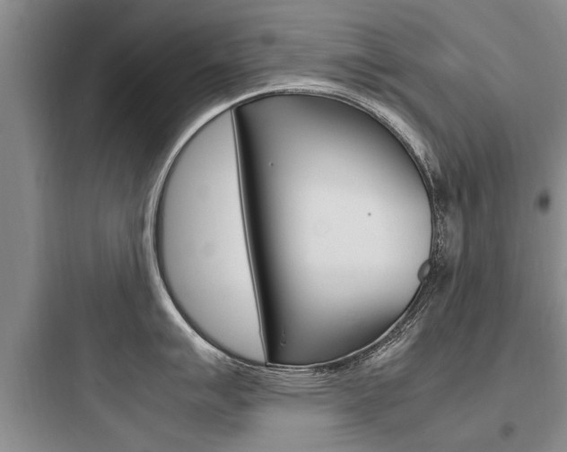 X0000097961007200803241037