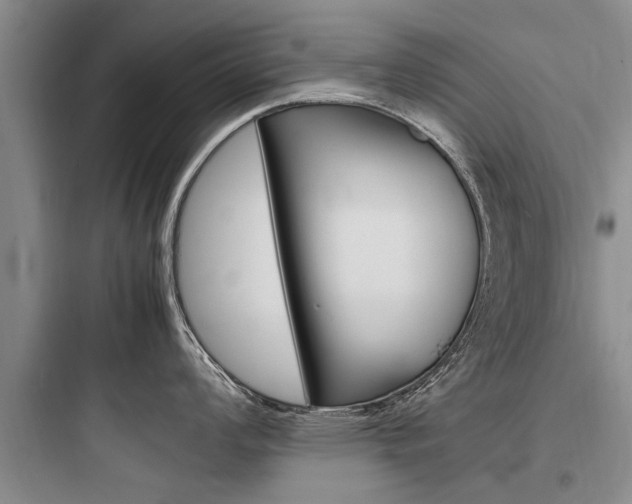 X0000097961008200803241037