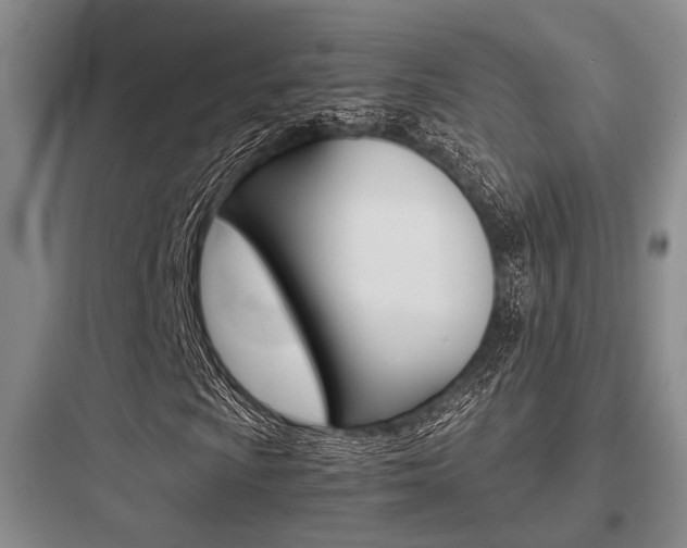 X0000097961009200803241036