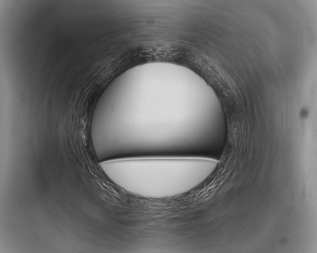 X0000097961010200803241036