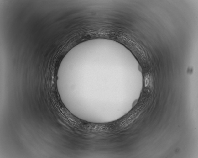 X0000097961011200803241037