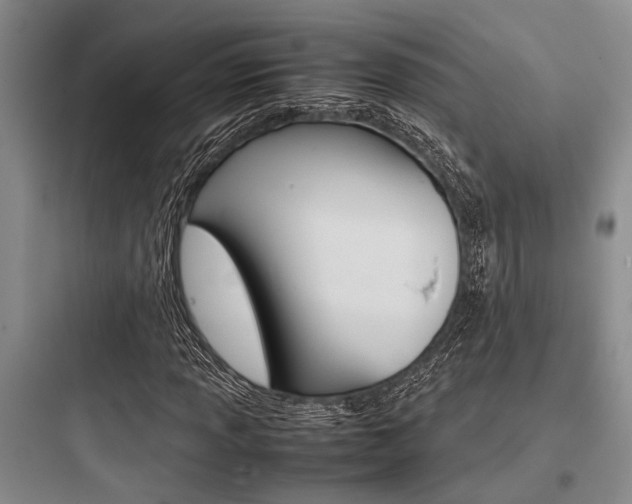 X0000097961013200803241037