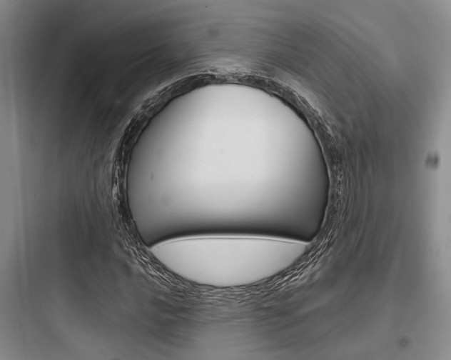 X0000097961016200803241037