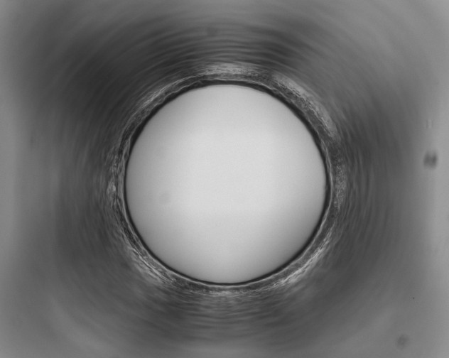 X0000097961017200803241037