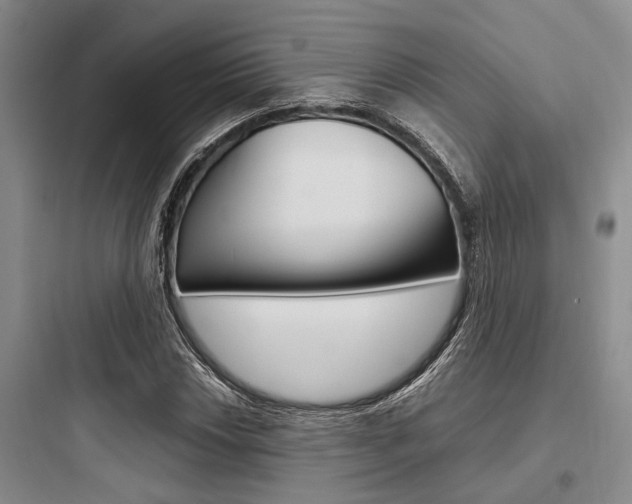X0000097961018200803241037