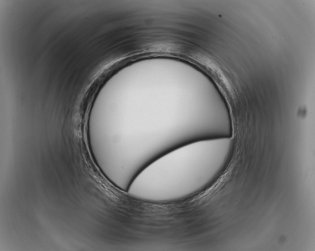 X0000097961019200803241037