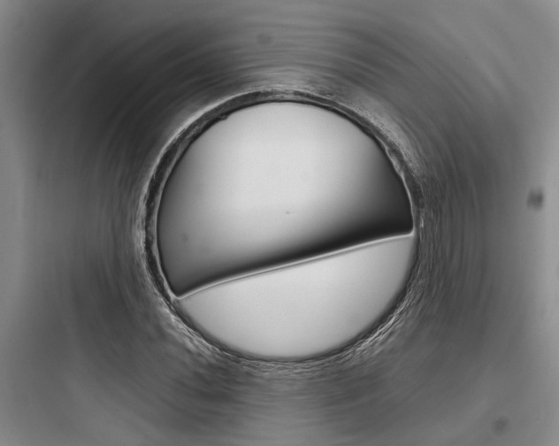 X0000097961020200803241037