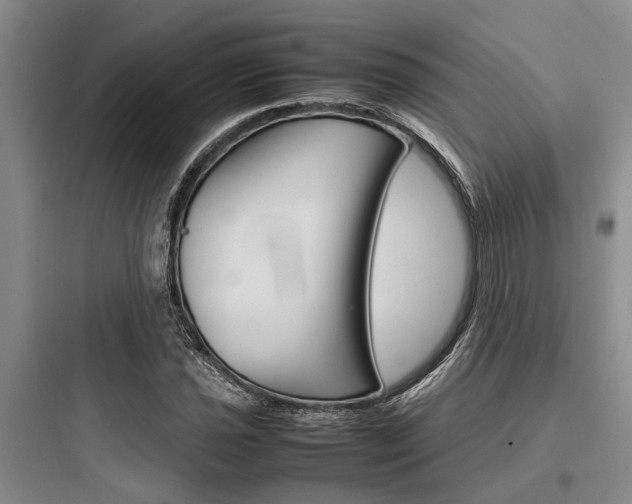 X0000097961021200803241037