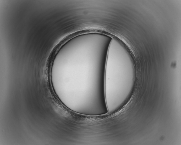 X0000097961022200803241037