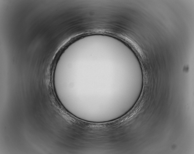 X0000097961023200803241037