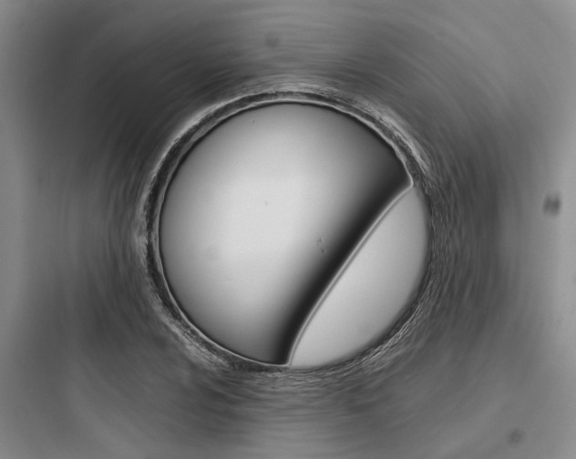 X0000097961024200803241037