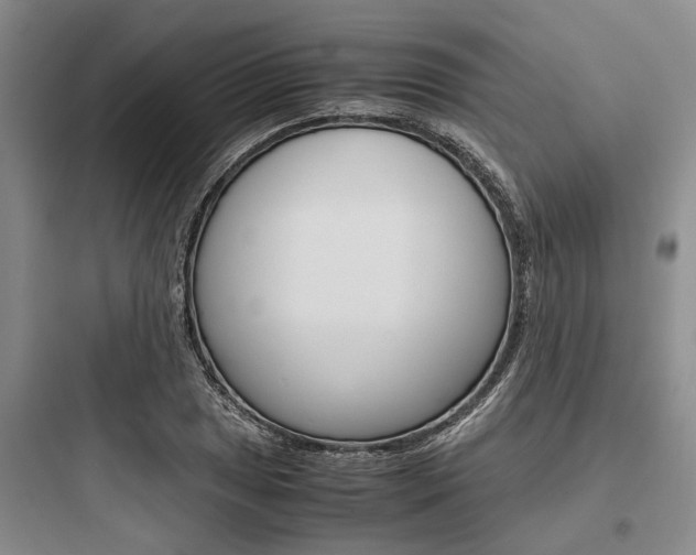 X0000097961025200803241037