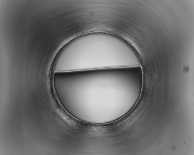 X0000097961026200803241037
