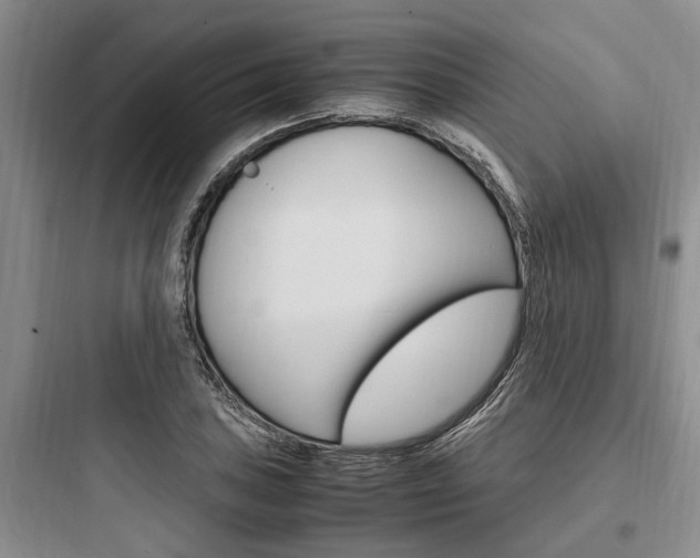 X0000097961027200803241037